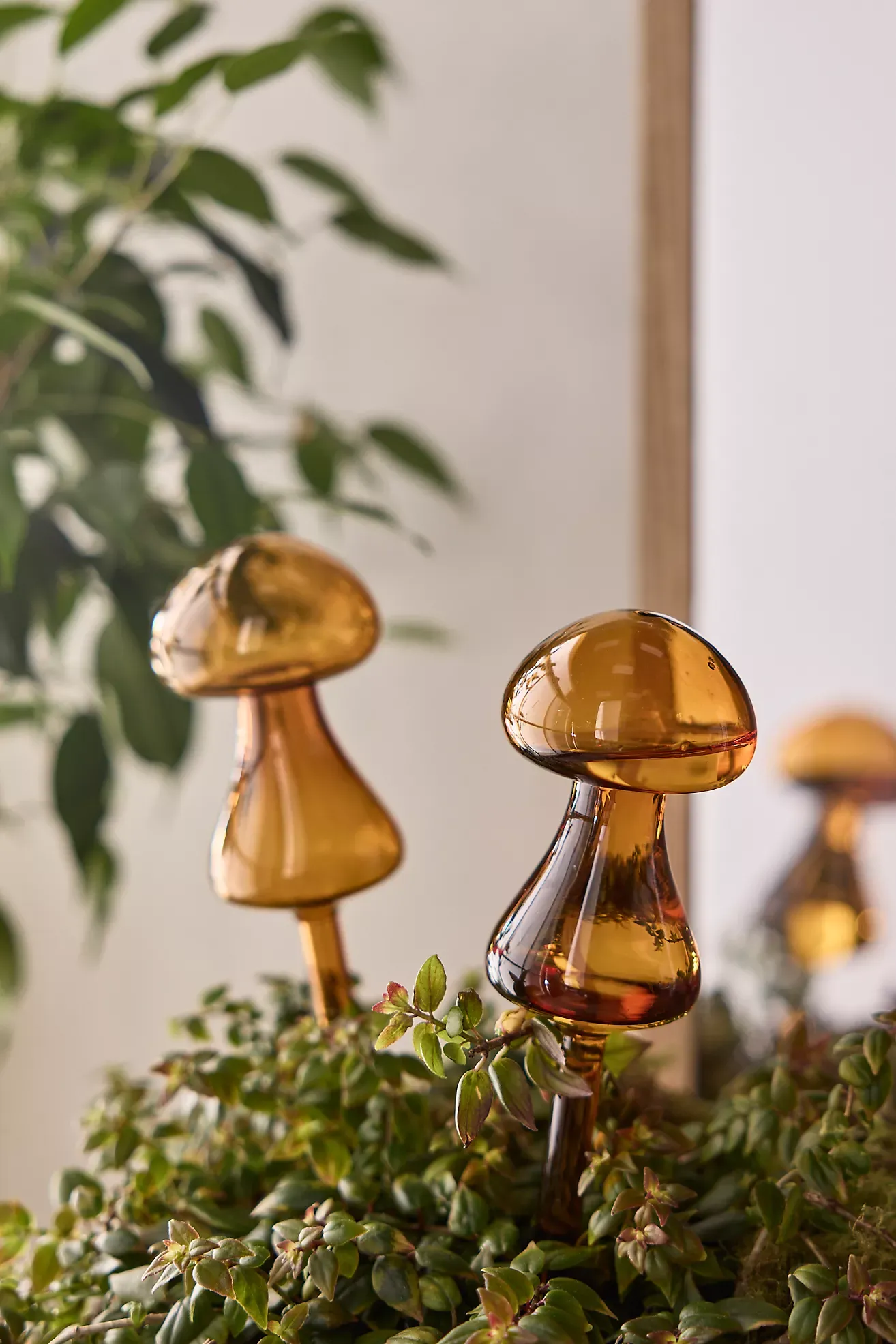 Mushroom Watering Globes