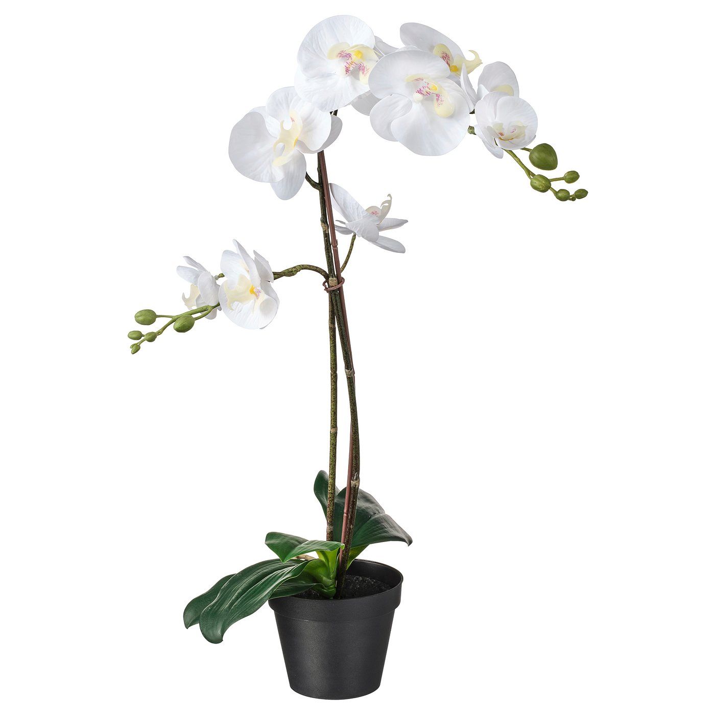 Fejka Artificial Potted Plant - Orchid White 4 &amp;frac34; "