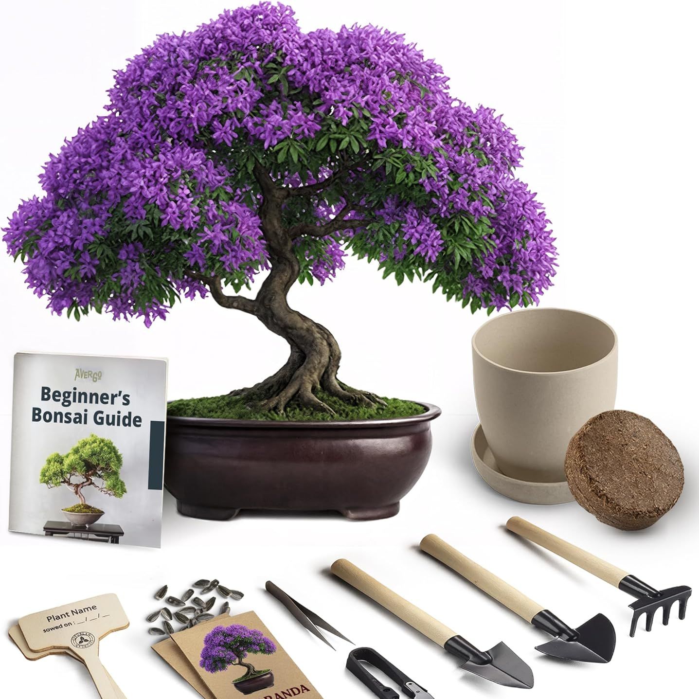 Bonsai Starter Kit &amp;ndash; Growing Jacaranda Bonzai Tree From Seeds | Complete Indoor Tree Kit for Growing Plants With Tools &amp;amp; Planter &amp;ndash; Gardening Gifts for Mother, Women &amp;amp; Men