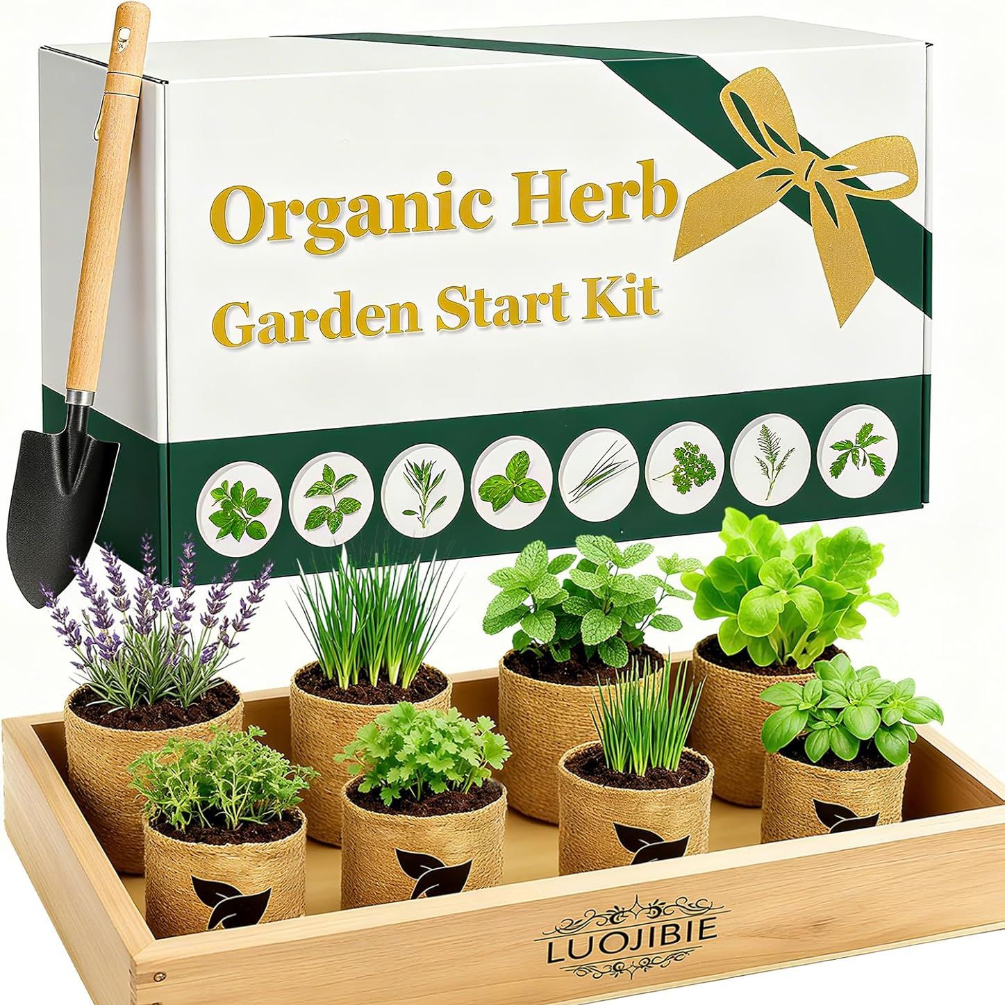 Organic Indoor Herb Garden Start Kit - Unique Gifts for Women, Christmas Gifts for Adults, Easy House Plant- Birthday for Women,house Warming Gift New Home- Fresh Herb Garden Diy Crafts for Adults