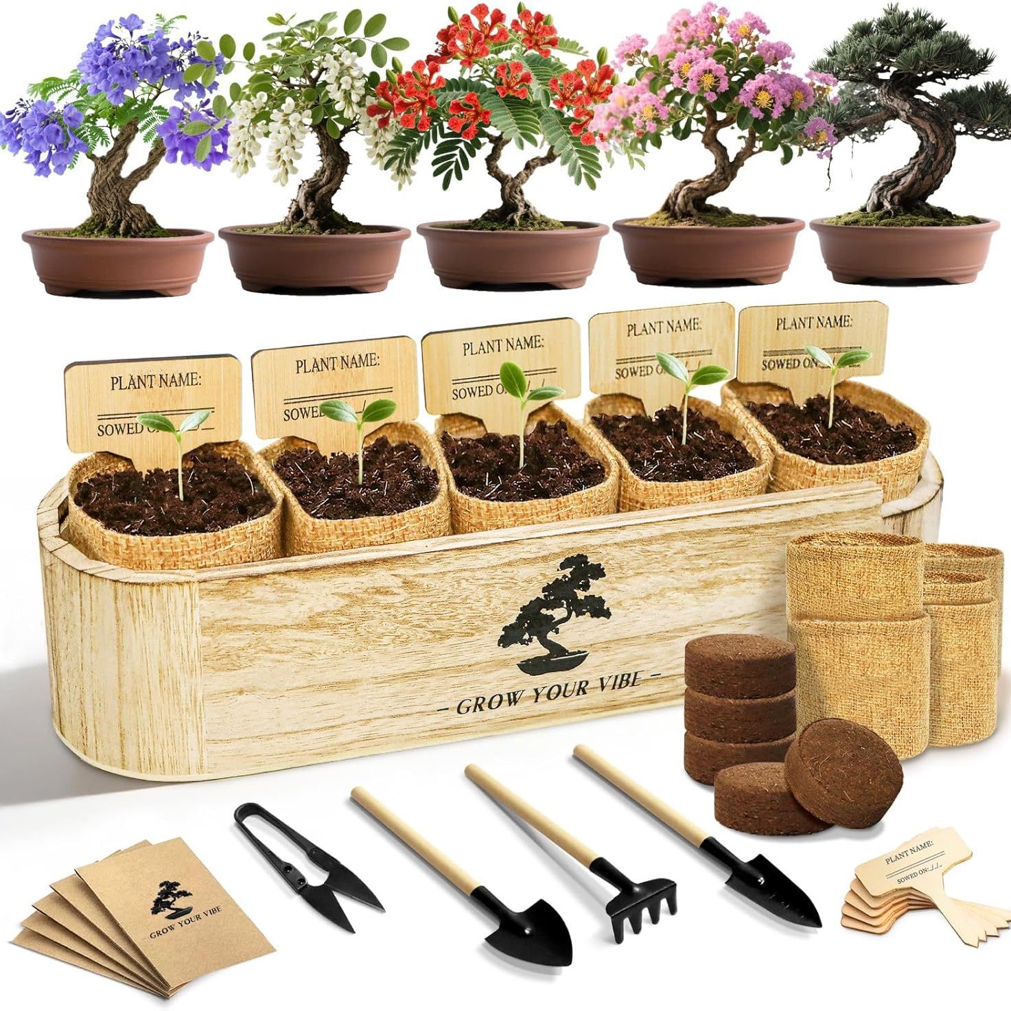 Luojibie Bonsai Tree Kit for Beginners - Unique Diy Japanese Bonsai Trees,crafts for Adults, Ideal Gardening Birthday Gift for Women &amp;amp; Men,complete Indoor Plant Kit