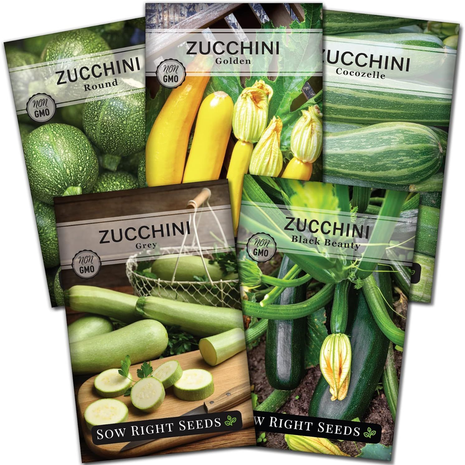 Sow Right Seeds - Zucchini Squash Seed Collection for Planting - Black Beauty, Grey, Round, Golden, and Cocozelle - Non-Gmo Heirloom Packet to Plant a Vegetable Garden - Productive Summer Squash