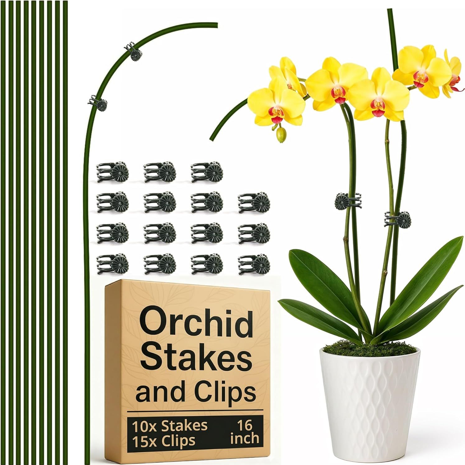 10pcs Plant Support Stakes for Indoor Plants 16 Inches With 15 Clips, Plant Sticks for Indoor and Outdoor Plants, Tall Bendable Orchid Clips and Single Stem Flower Stakes (green)