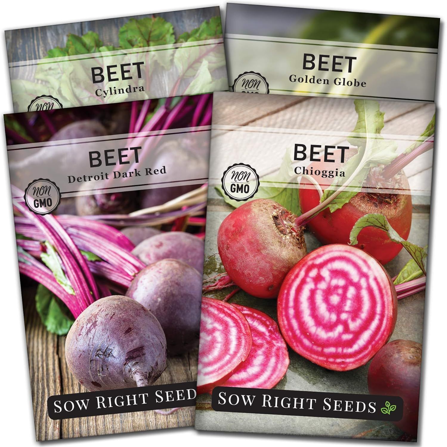Sow Right Seeds - Beet Seeds for Planting - Detroit Dark Red, Golden Globe, Chioggia &amp;amp; Cylindra Varieties - Non-Gmo Heirloom Seeds to Plant Home Vegetable Garden - Great Gift for Friends and Family