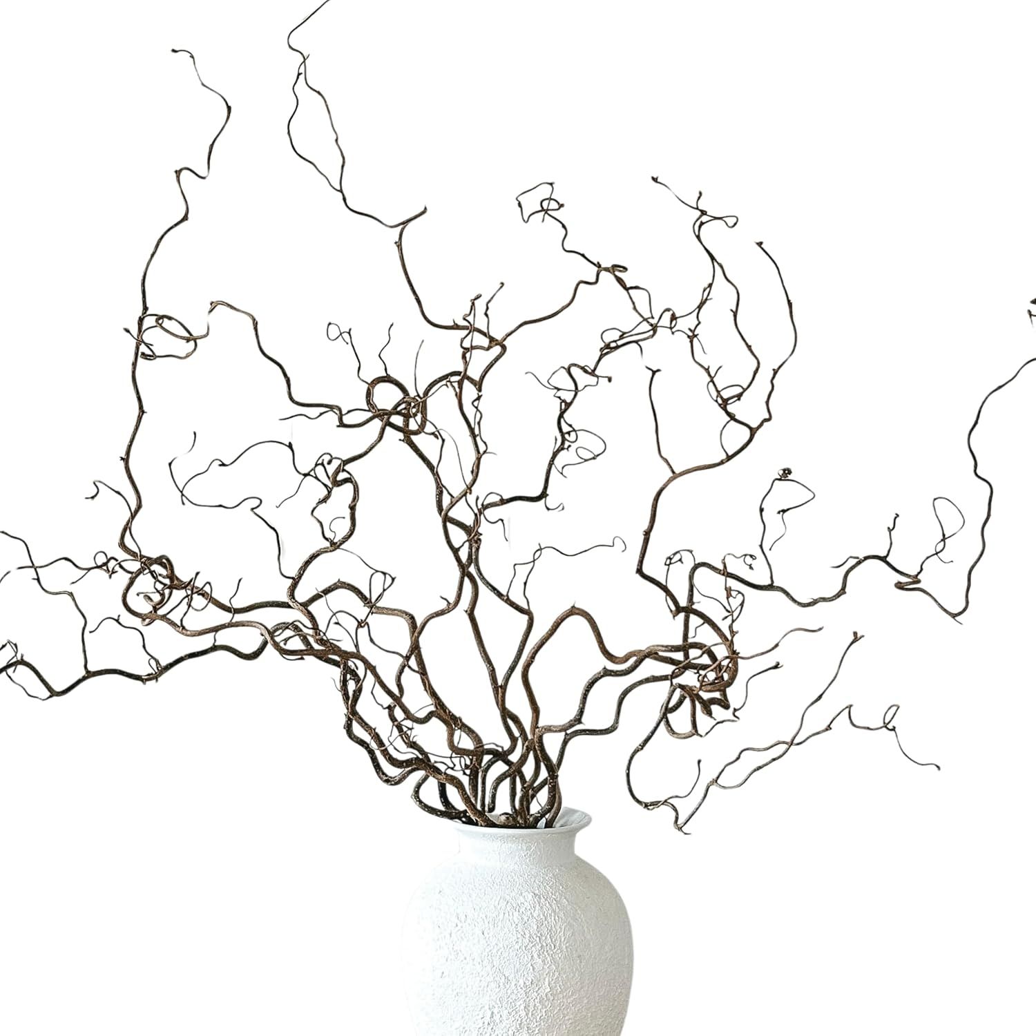 Eve &amp;amp; Wild Real Twisted Corylus Hazel Branches, Natural Decorative Dried Branch Decor, Curly Twigs for Vase, Japandi Decor, Twisted Willow (1, Small (50-60cm))