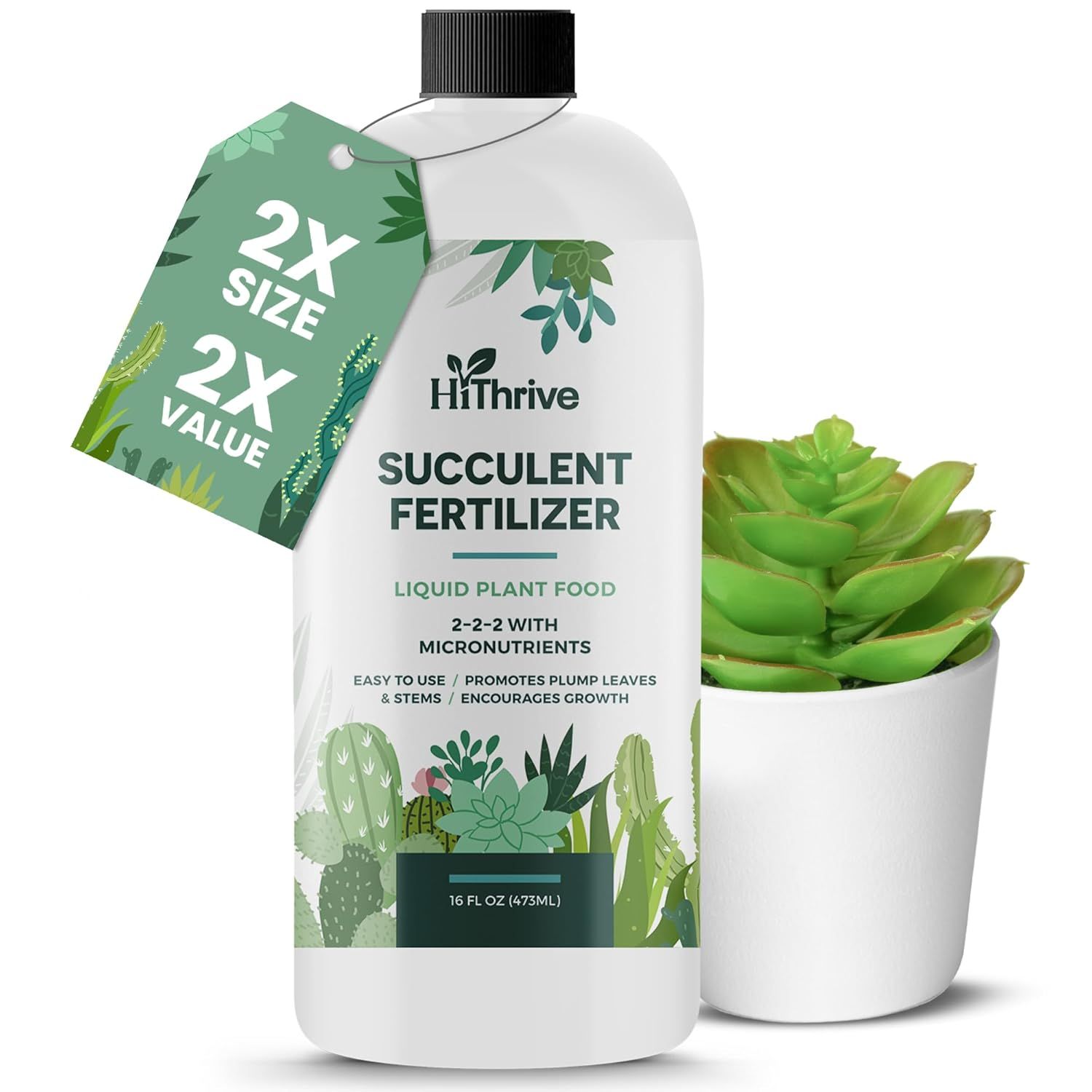 Amazon succulent fertilizer