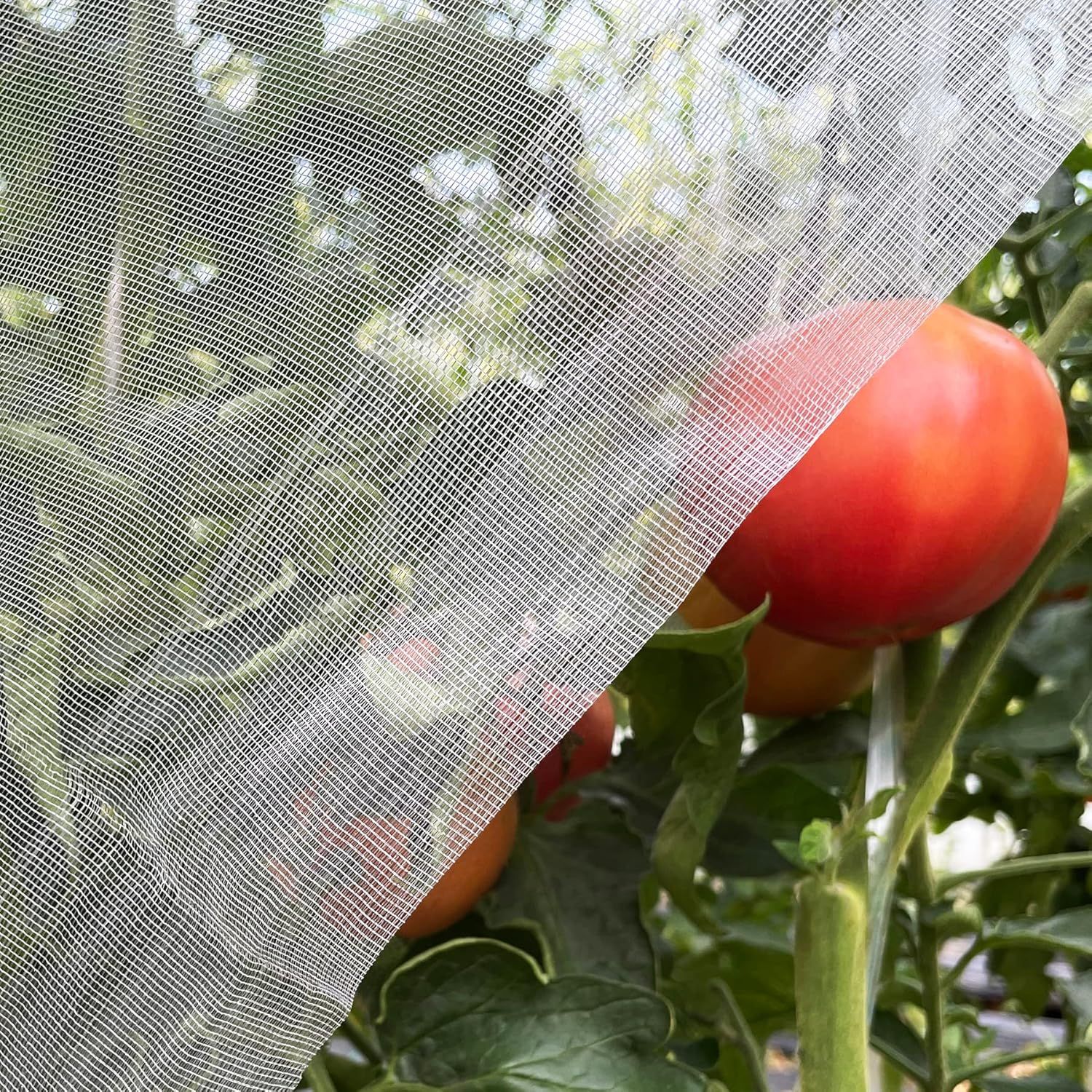 Meuallikit, Ultra Fine Garden Netting 4&#039;x10&#039; Plant Pest Barrier Covers Bird Patio Mosquito Netting Tree Vegetable Mesh Protection Netting Fruit Greenhouse Row Nets for Garden