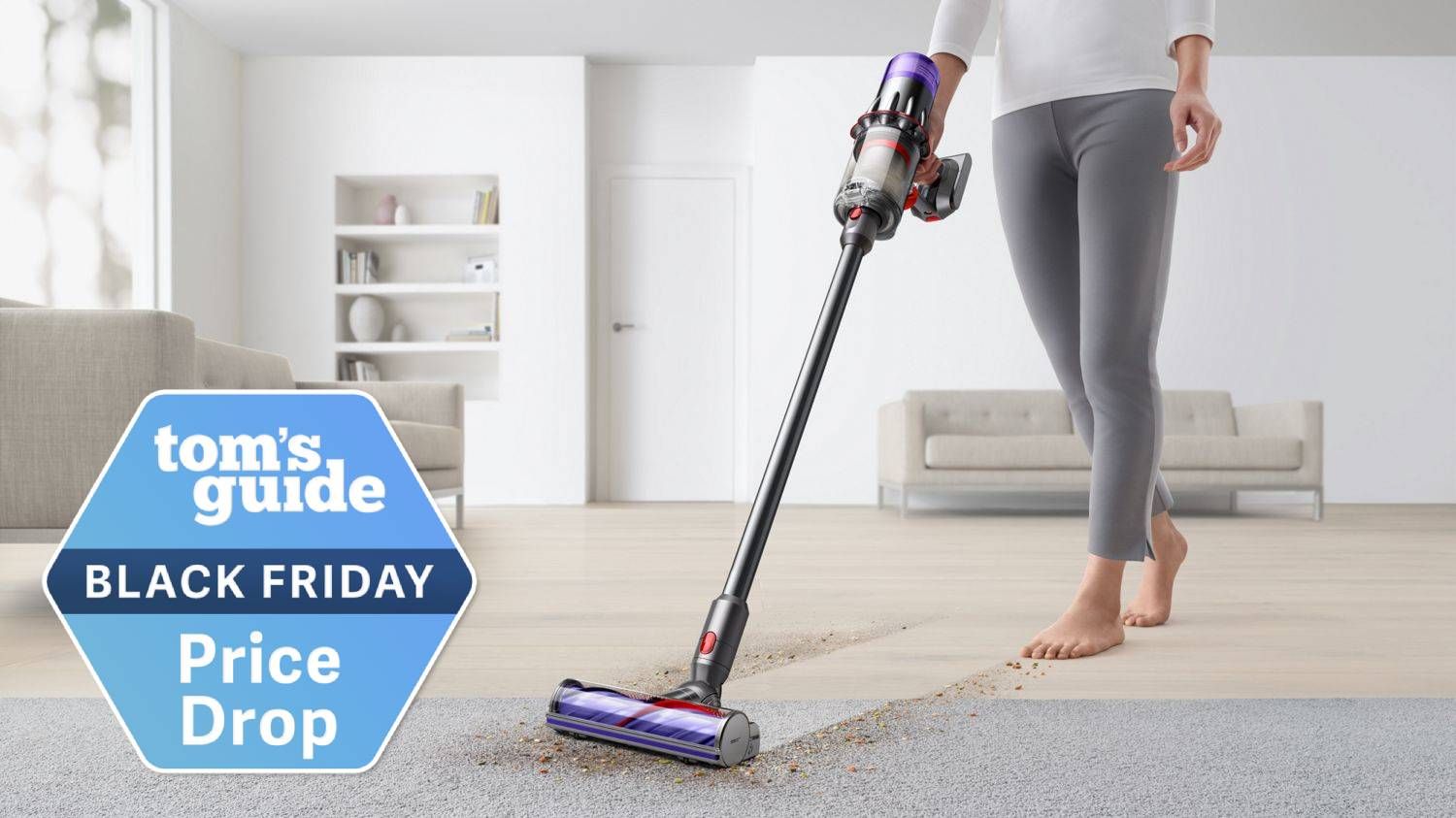 その他 dyson Amazon.com: Chuancheng Main Roller Brush for Dyson DC52 DC53 DC54