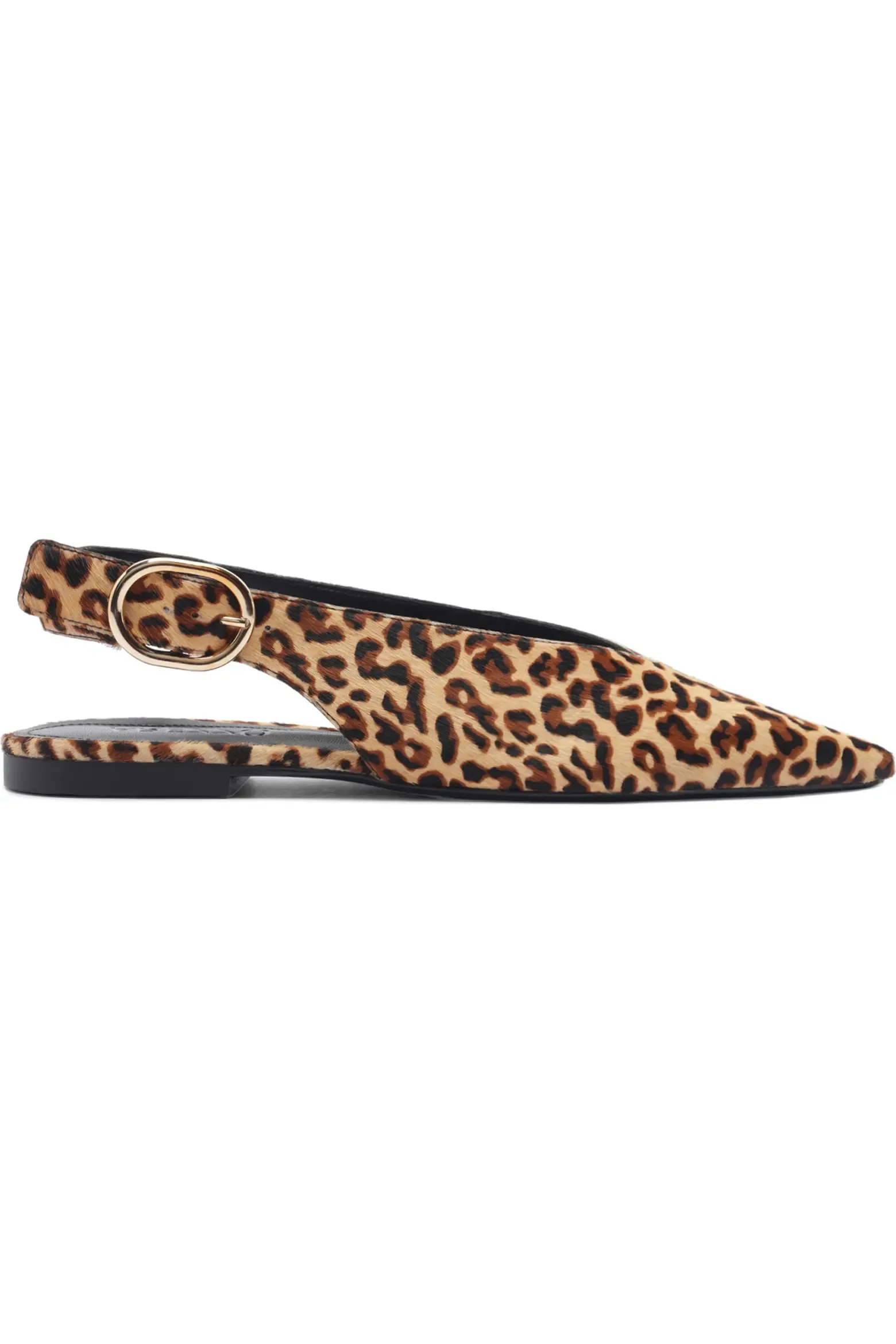 Arezzo, Atlas Pointed Toe Slingback Flat