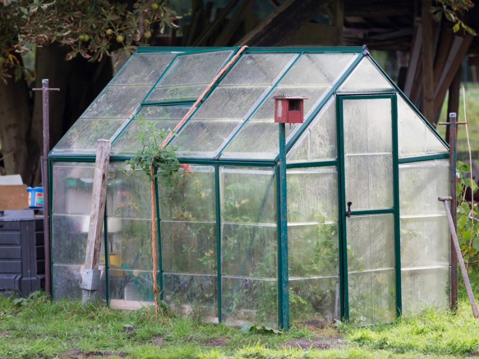 Greenhouse Gardening Info - Learn About Construction And How To Use A Greenhouse | Gardening Know How