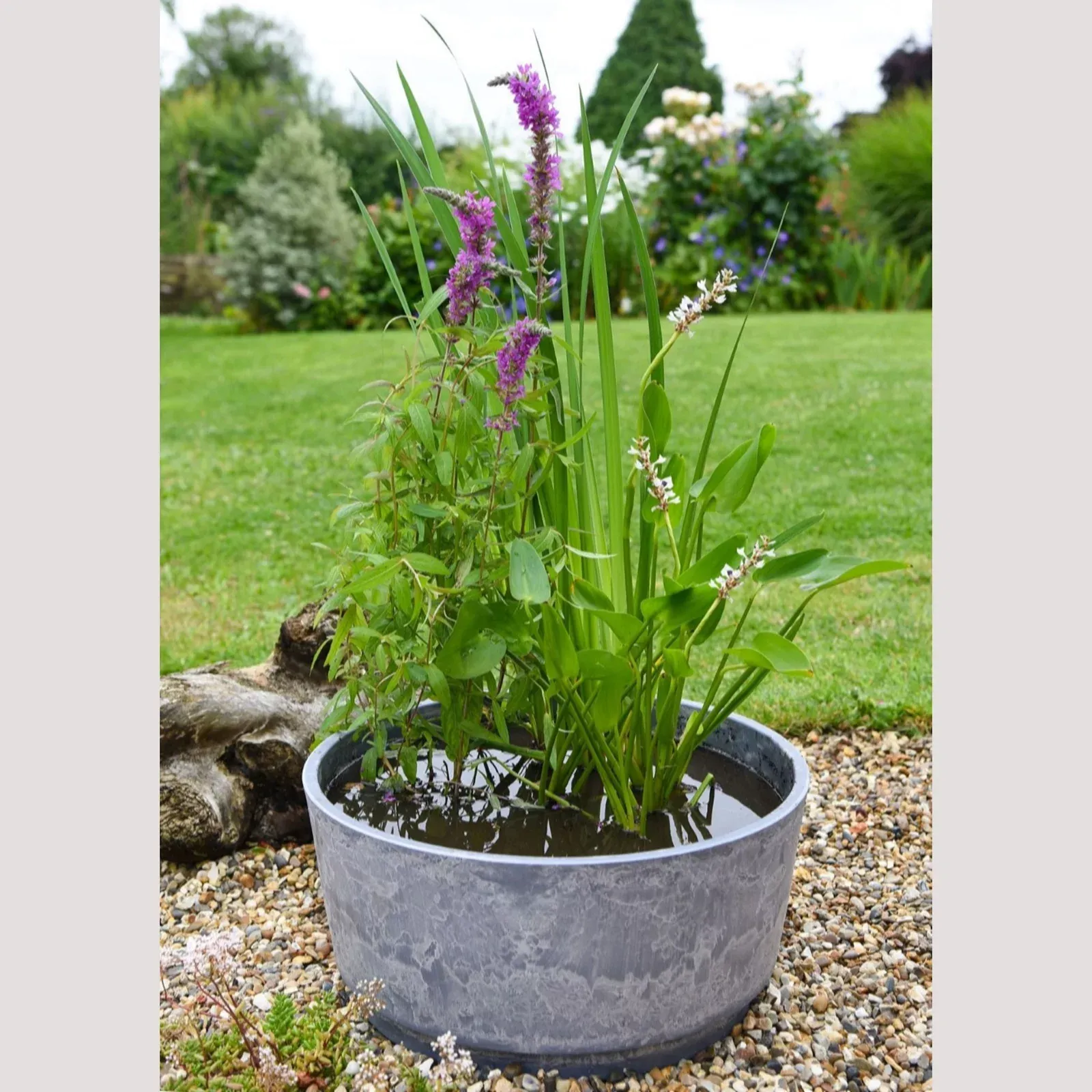 Thompson &amp;amp; Morgan Fragrant Patio Pond Kit + Marble Caesar Bowl 46cm