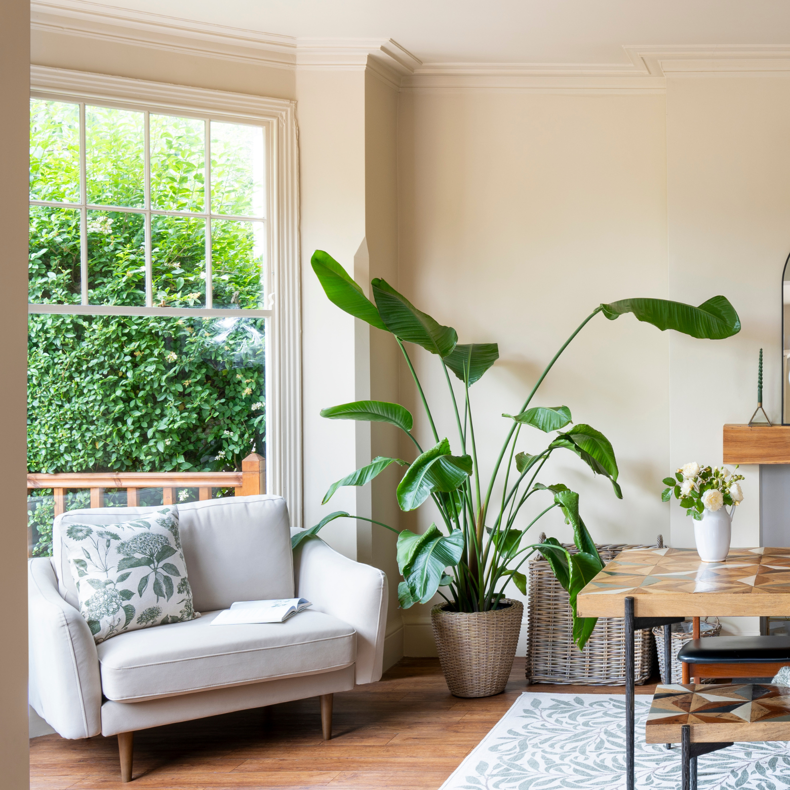 A bright and airy living room with the sofa in the corner next to a large houseplant.