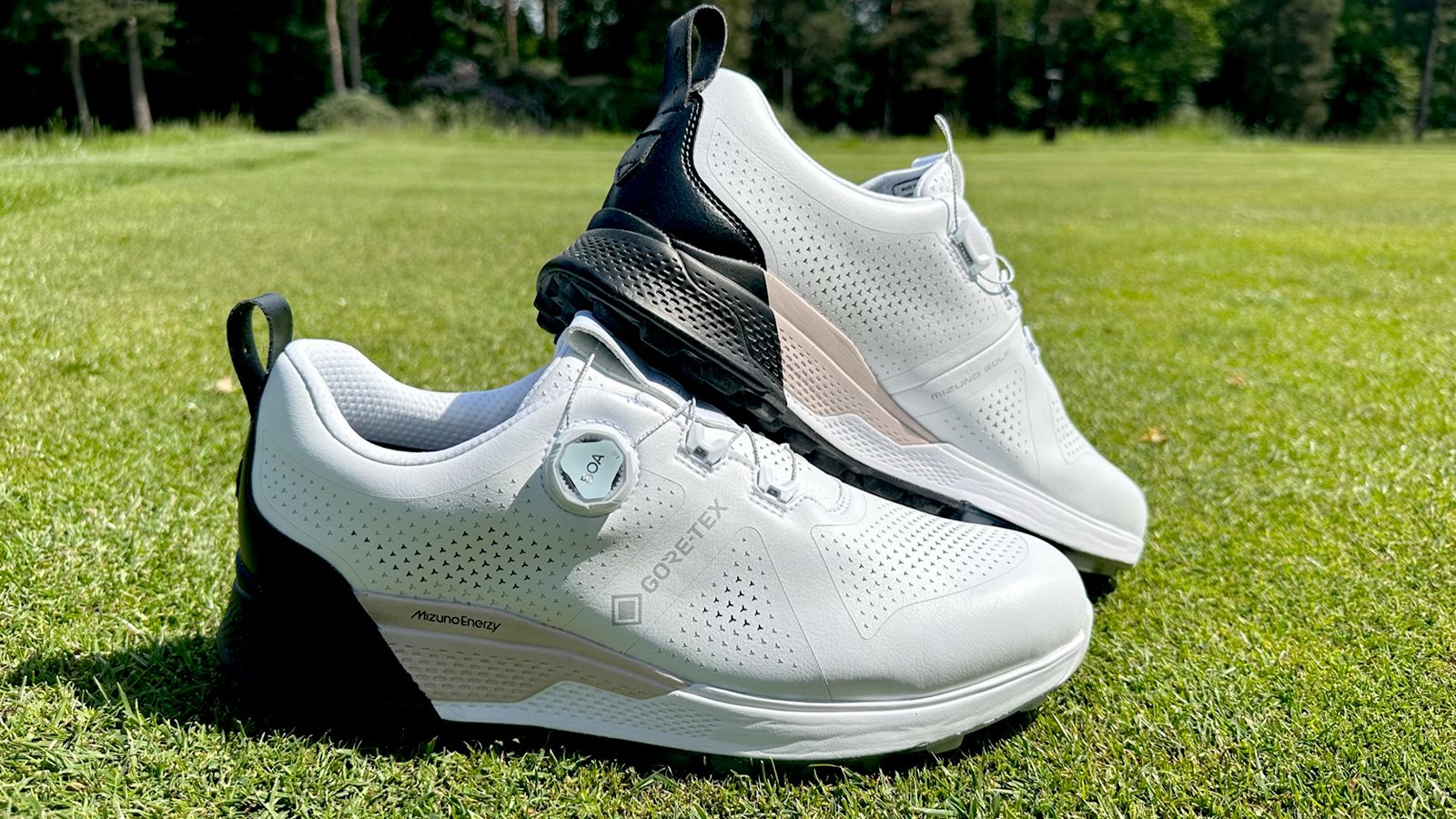 Mizuno Genem WG GTX Boa White/Black – Mizuno Golf Specialist