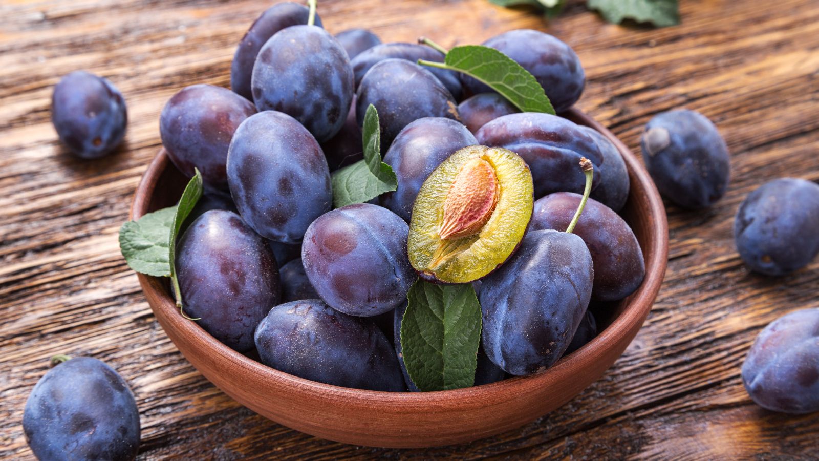Plum Seed Planting Guide: How To Grow A Plum Tree From A Pit | Gardening  Know How