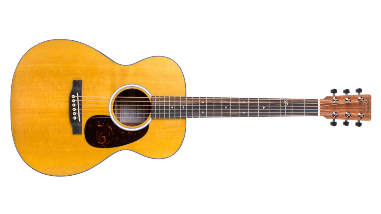 【Singer】Acoustic Imagine Series P01 Singer Acoustic Imagine Series P01 Acoustic Guitar Mahogany