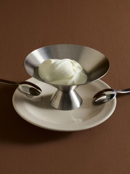 Low Stainless Steel Coupe