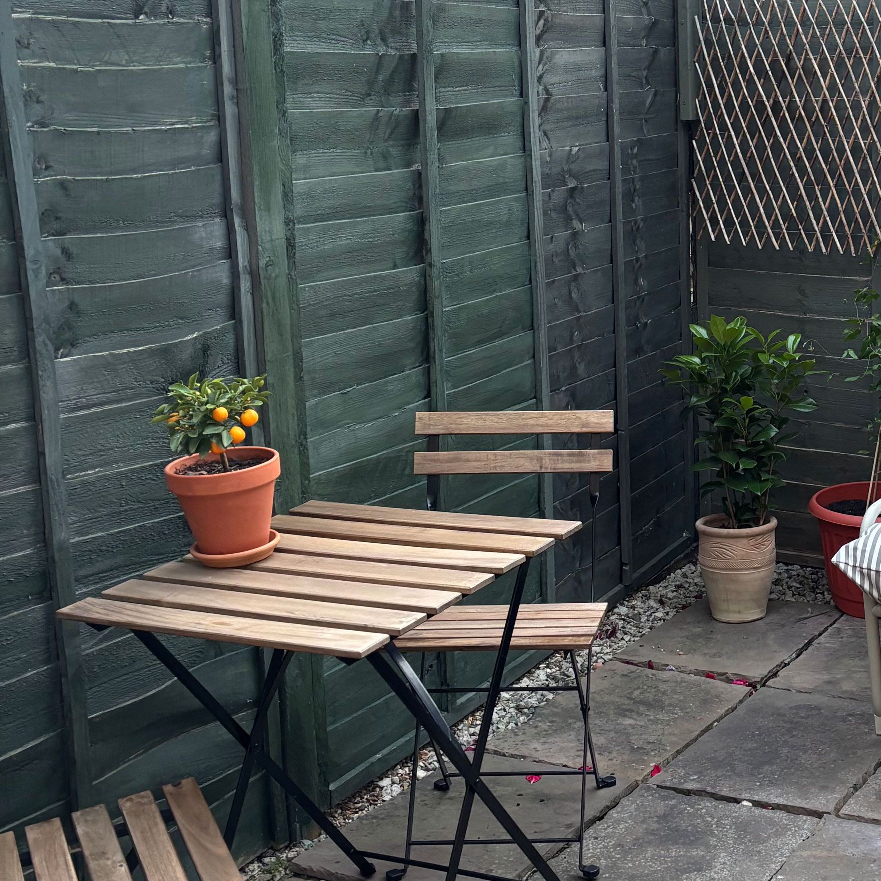 Green stripe sofa in a small green courtyard garden with a wooden table and chair