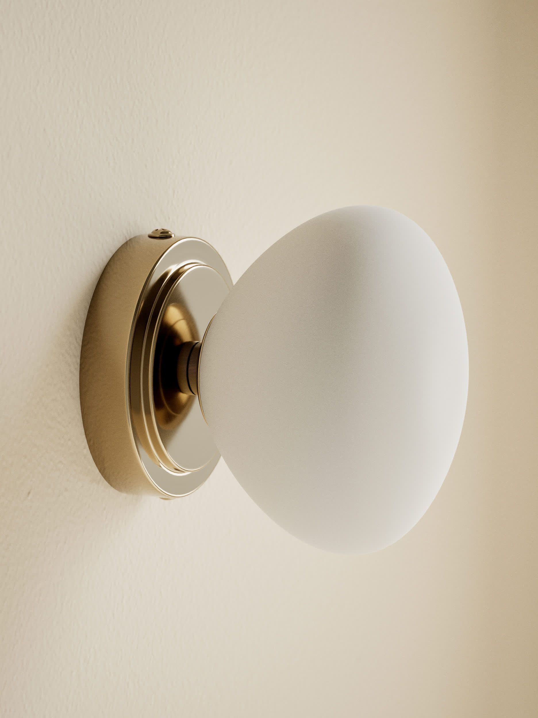 Metal Soft Organic Form Wall Light