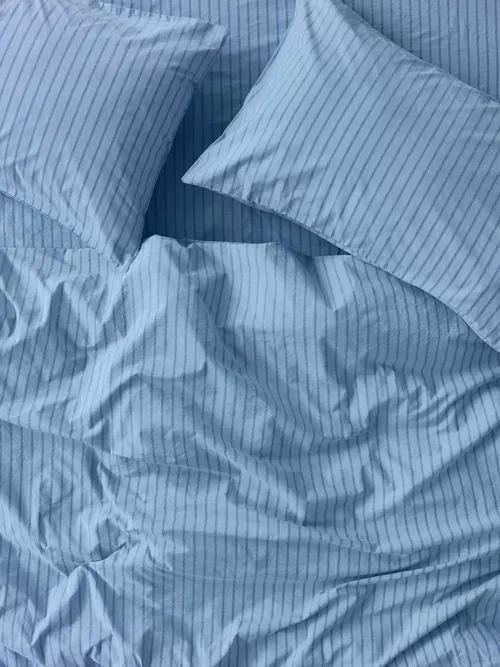 Piglet in Bed