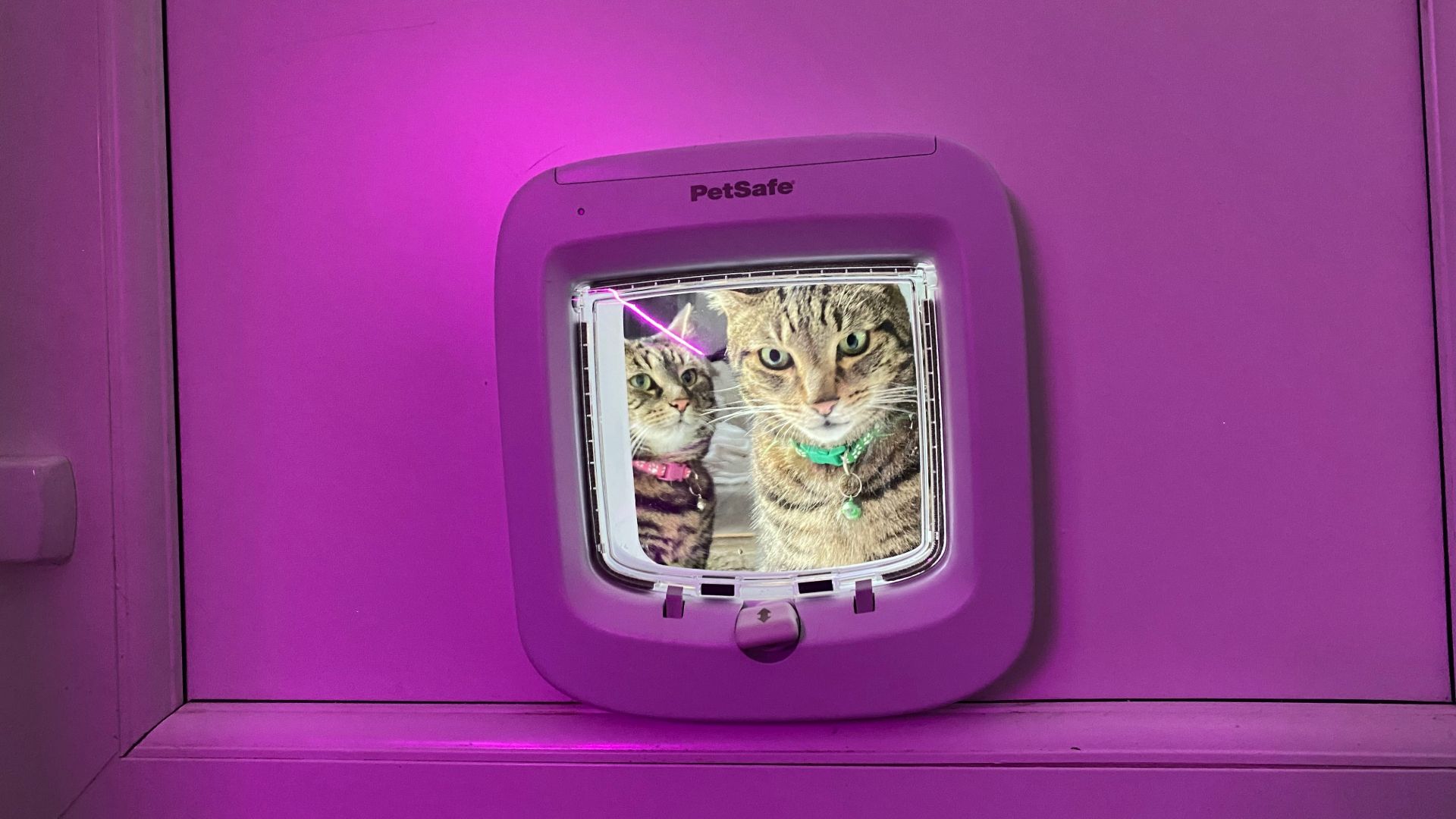 best cat flap for double glazed door