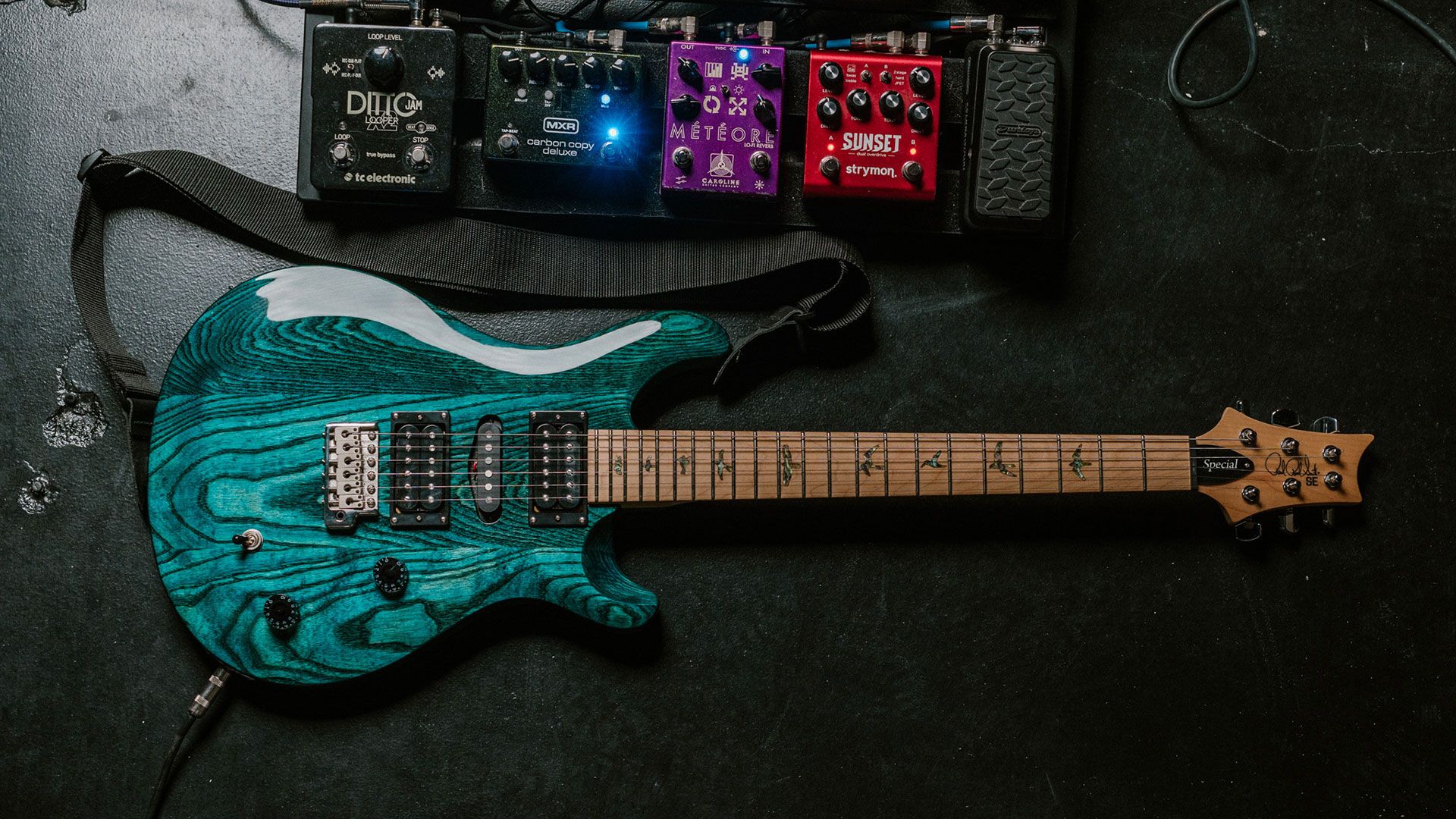 美品 2023年製 PRS SE Swamp Ash Special PRS SE Swamp Ash Special Solidbody Electric Guitar - Ted