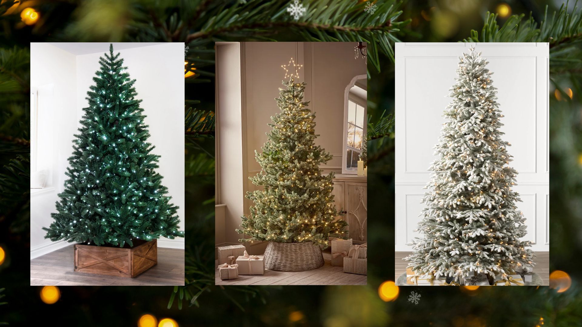 best christmas tree sales