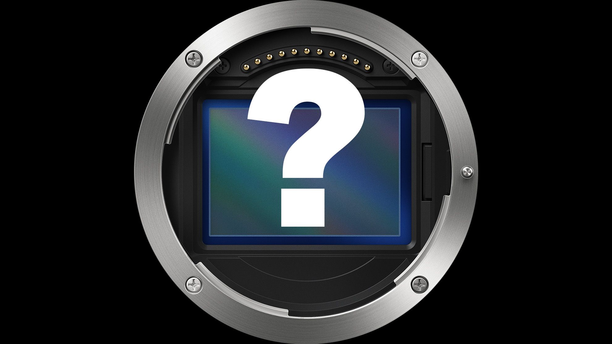 れもねーど愛蔵品ガメラ3 れもねーど愛蔵品ガメラ3 愛蔵品ガメラ3 11月27日