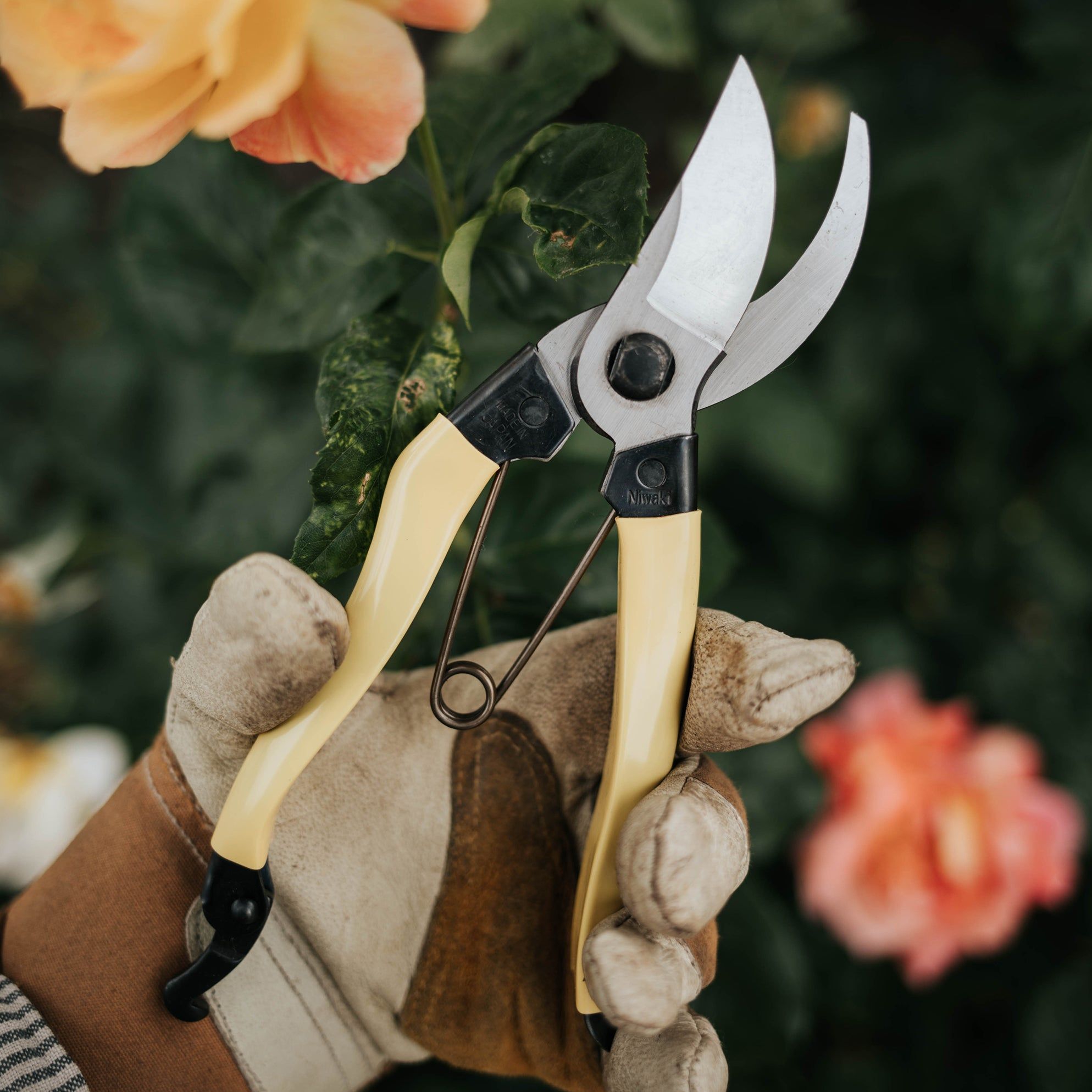Mainichi Secateurs