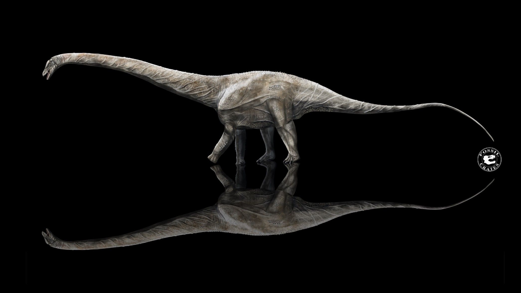 Supersaurus might be the longest dinosaur that ever lived | Live