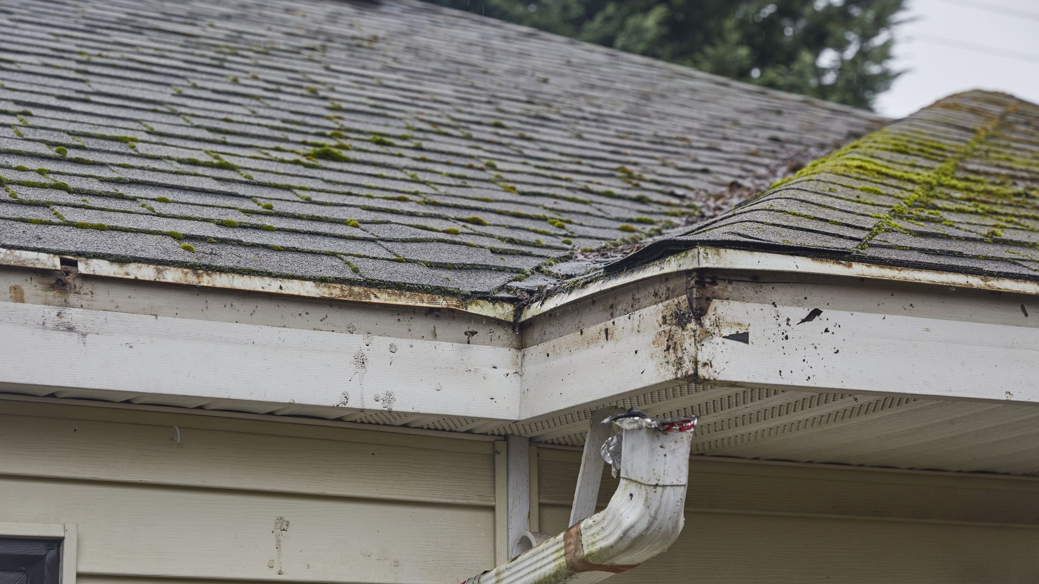 View of a mossy roof line of a house missing gutters - stock photo