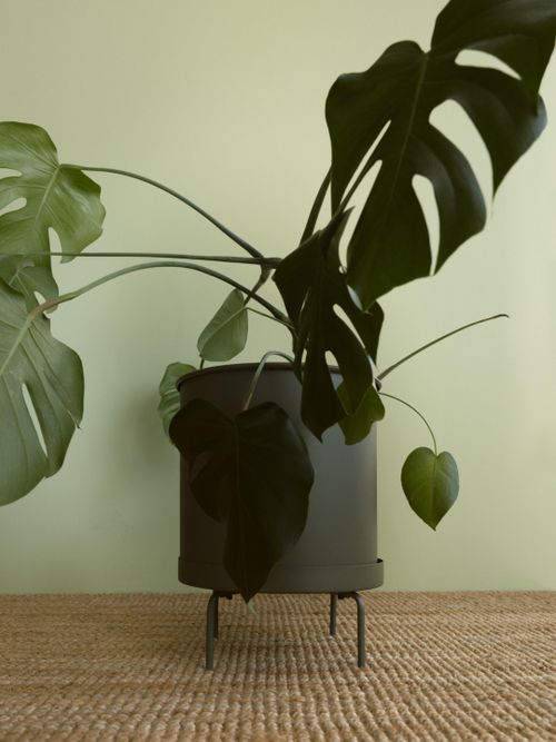 Extra-Large Plant Pot on a Stand