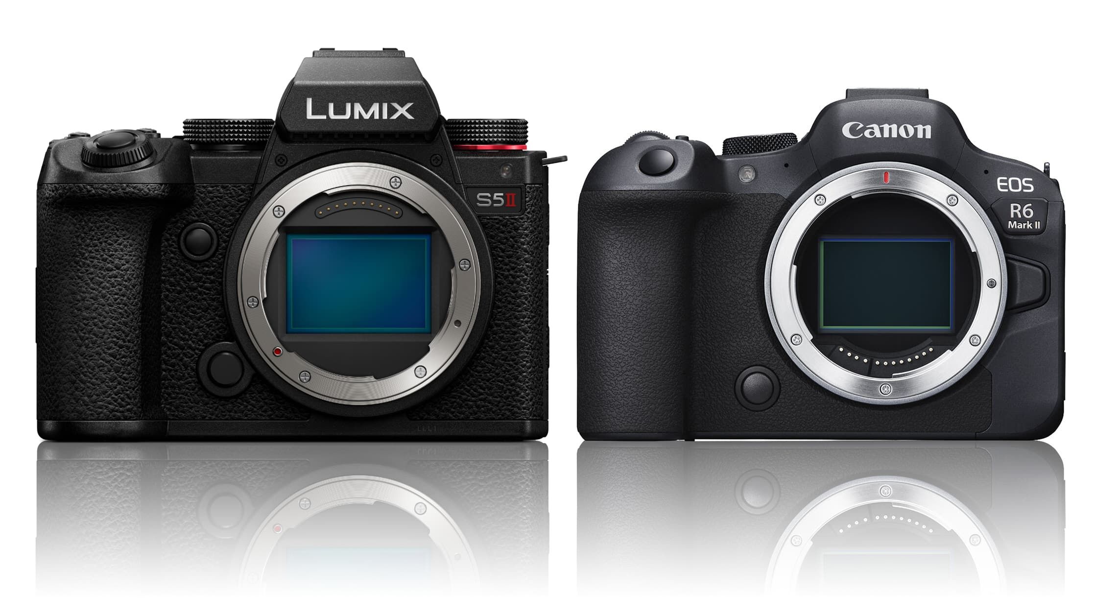 Panasonic Lumix S5 II vs Canon EOS R6 II | Digital Camera World