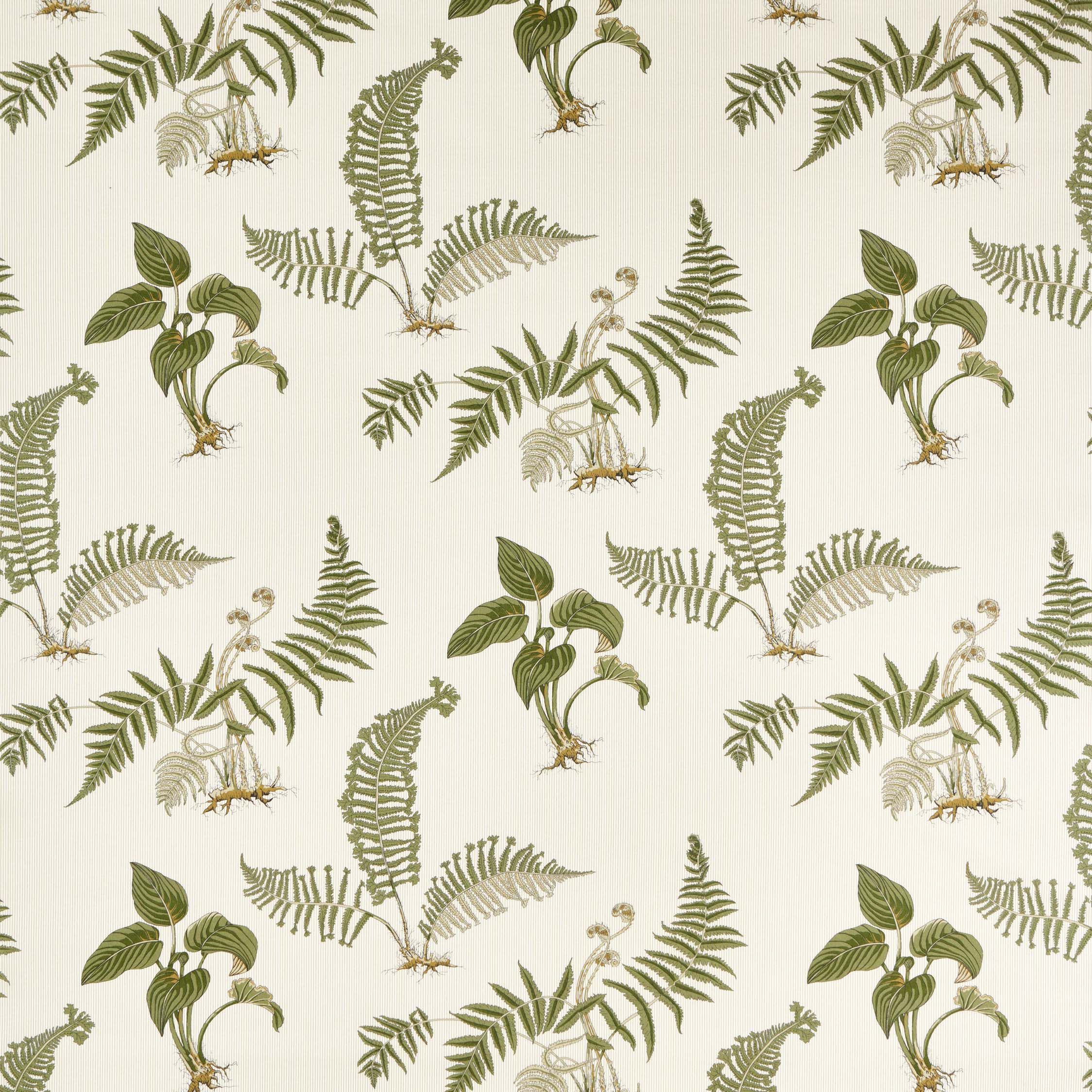 Lulu and Georgia, Hosta &amp;amp; Fern Fabric by Sanderson