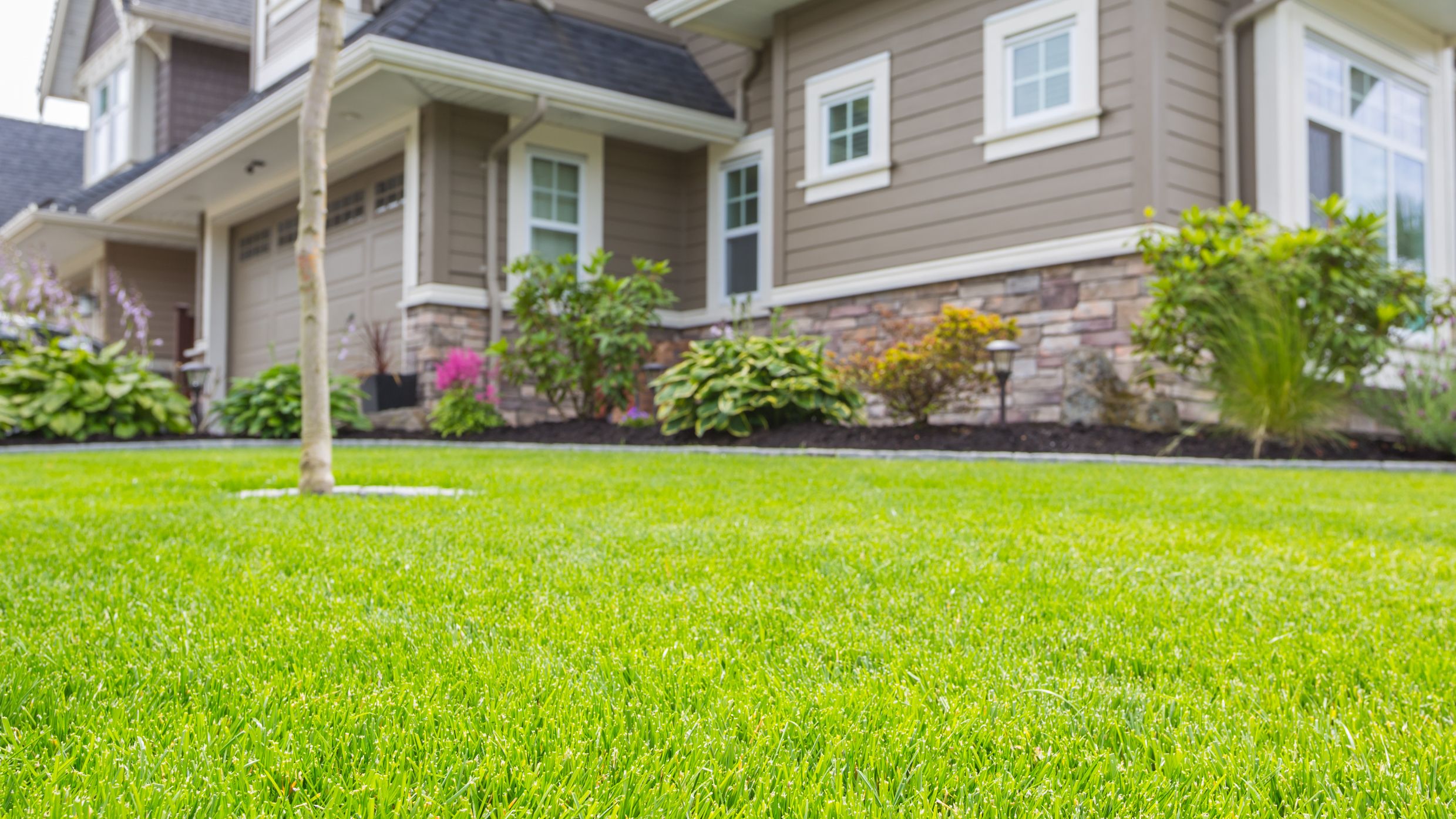 Green grass