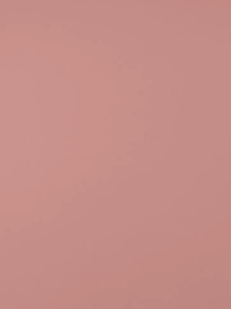 Lick, Pink 09: Supreme &amp;ndash; Ultra Flat Matt Paint