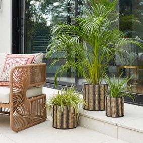 Set of 3 Woven Plant Pots