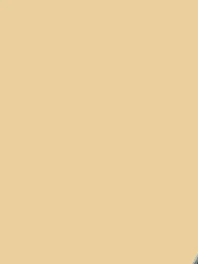 Yellow paint sample can