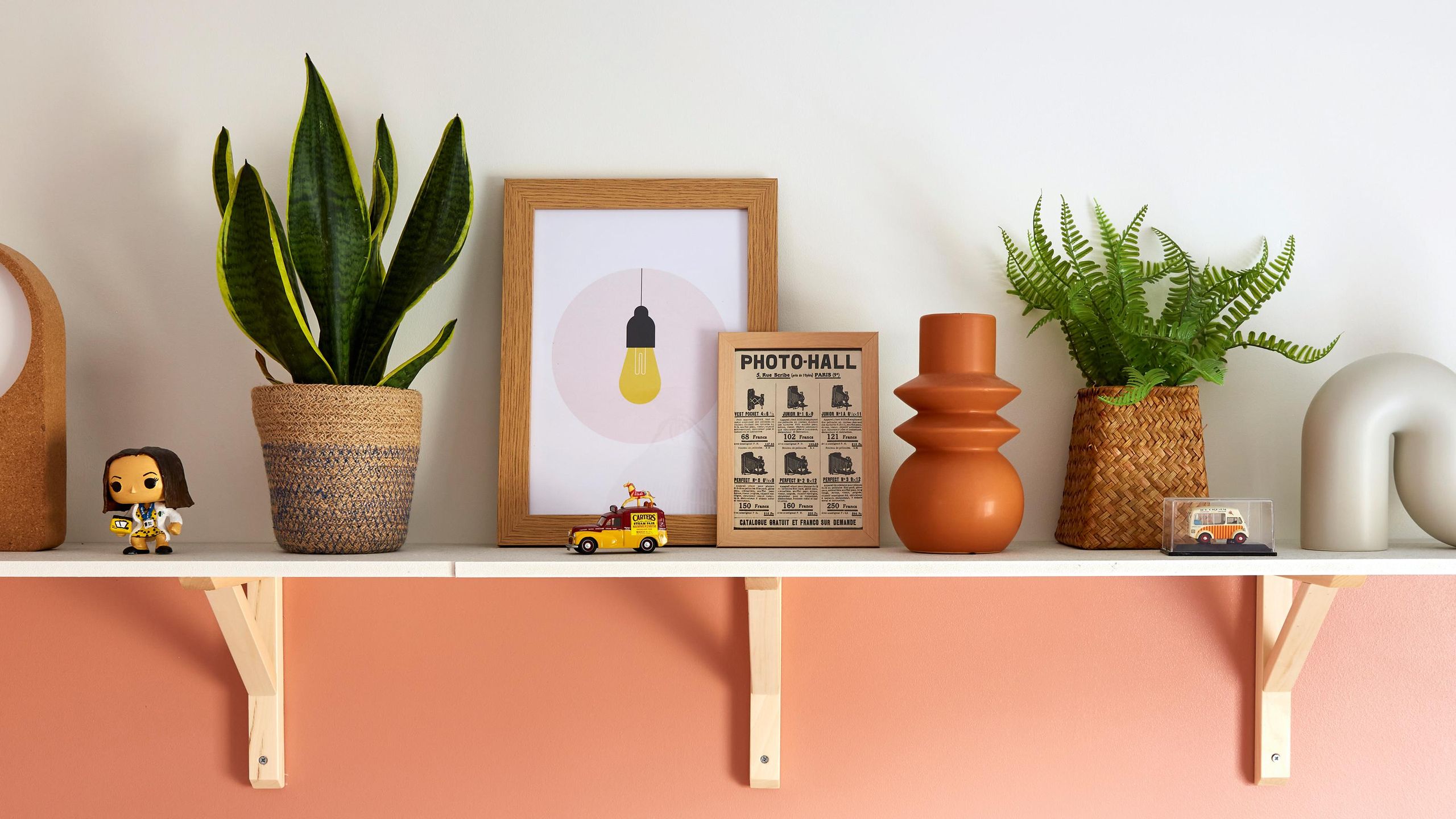 Where to place a snake plant according to Feng Shui | Ideal Home