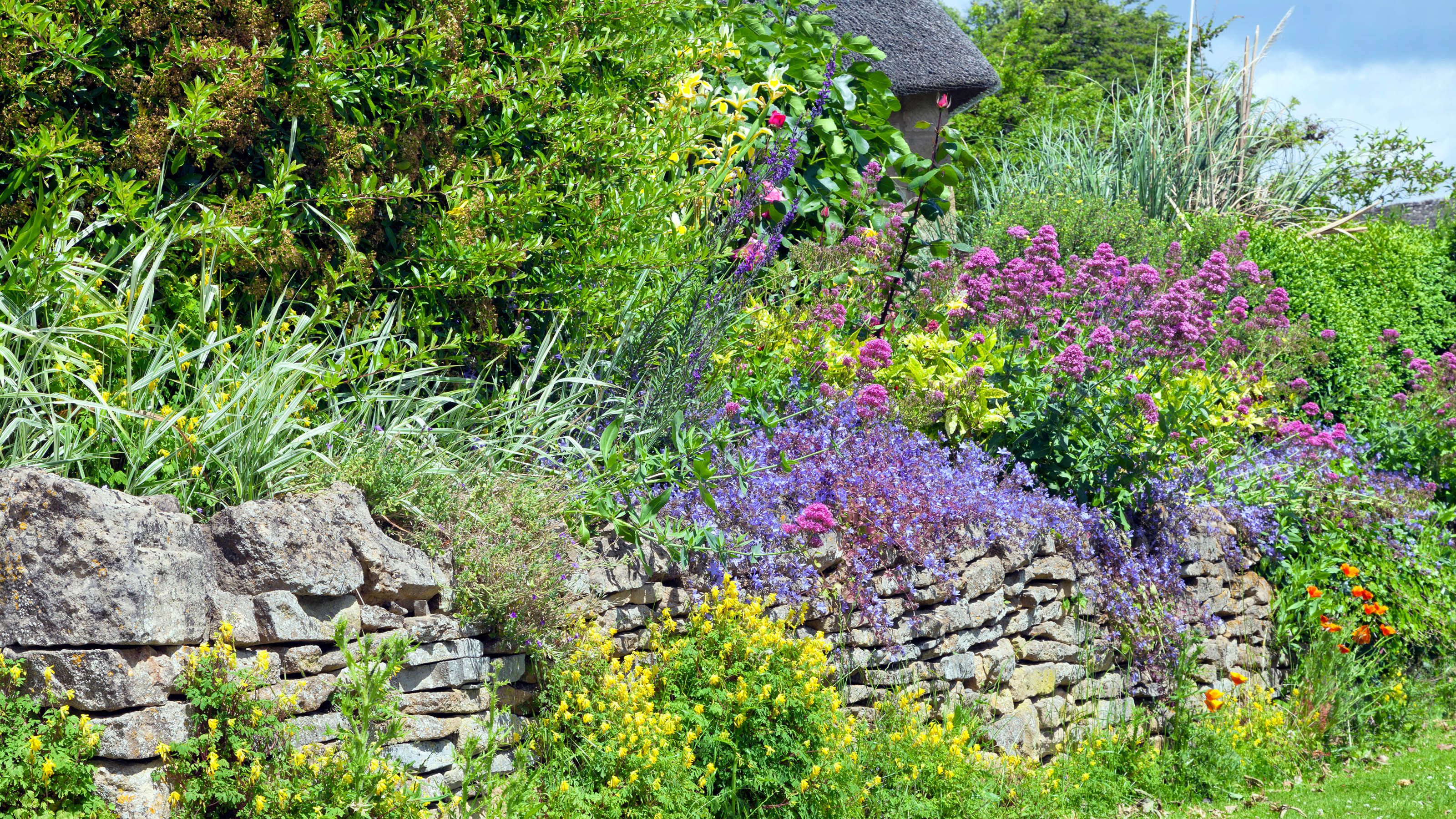 Retainer Wall For Plants And Shrubs