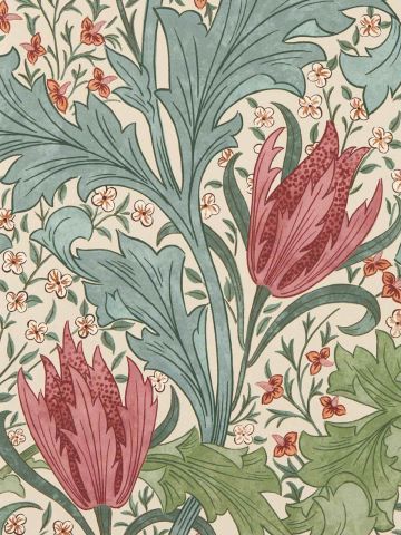 Lent Lily Wallpaper
