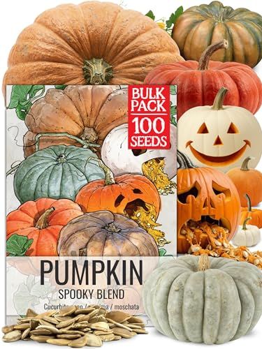 Spooky Blend Pumpkin Seeds