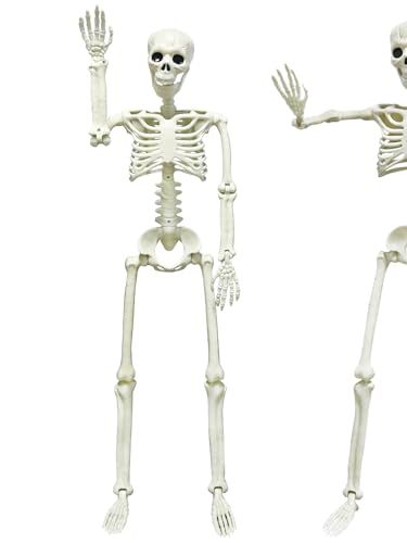 2 Pack of Skeletons