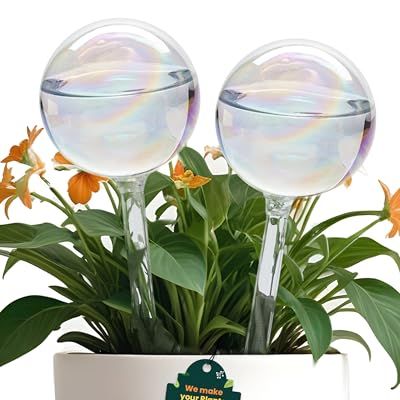 Iridescent Self Watering Globes, Glass Rainbow Plant Watering Globes, Self Watering Planter Insert, Automatic Plant Waterer Indoor (medium-2 Pcs Iridescent, Medium)