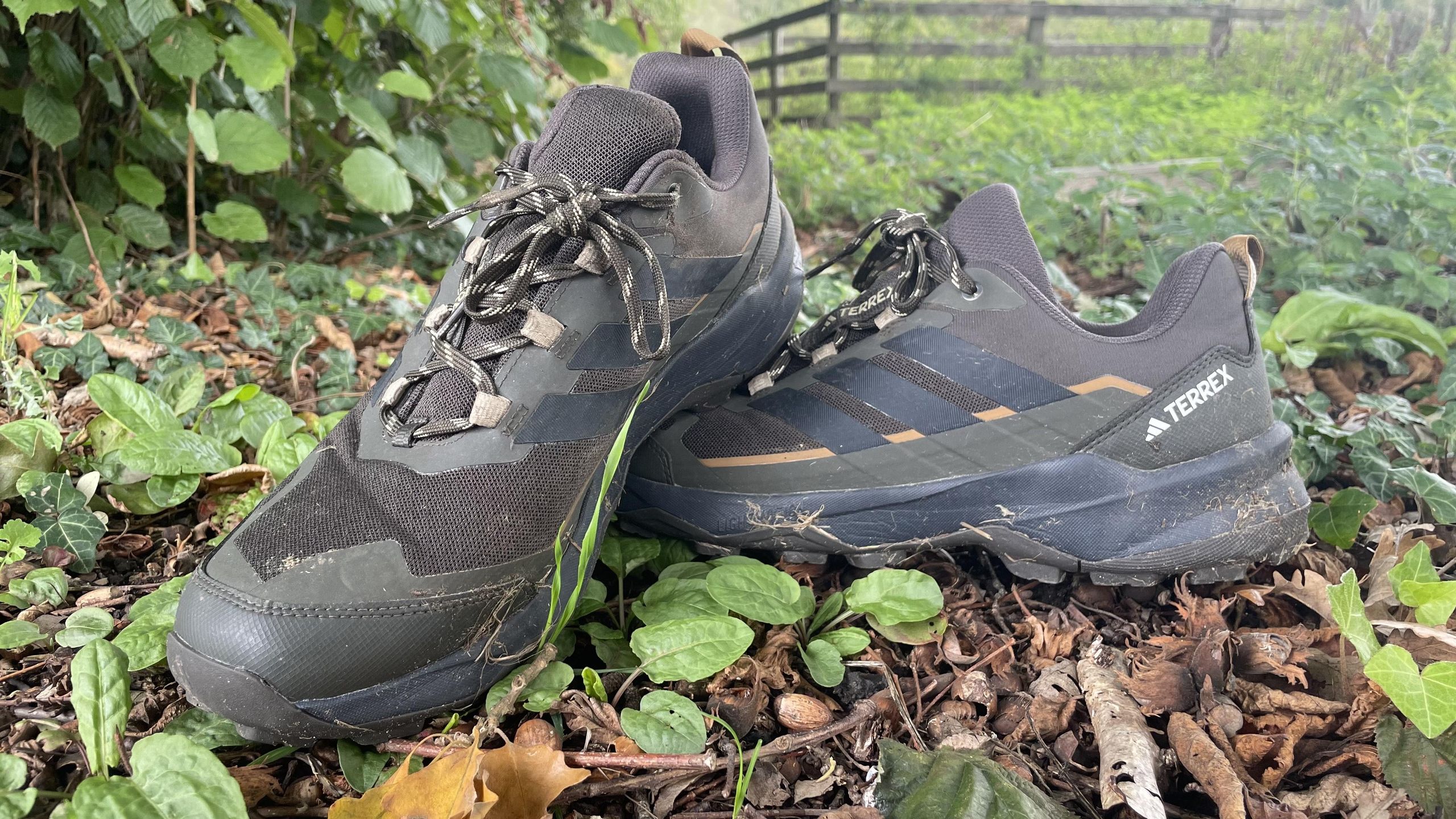Adidas Terrex Skychaser AX5 hiking shoes review: Super-comfy  budget-friendly hiking shoes for long-distance treks in sunny conditions |  Advnture