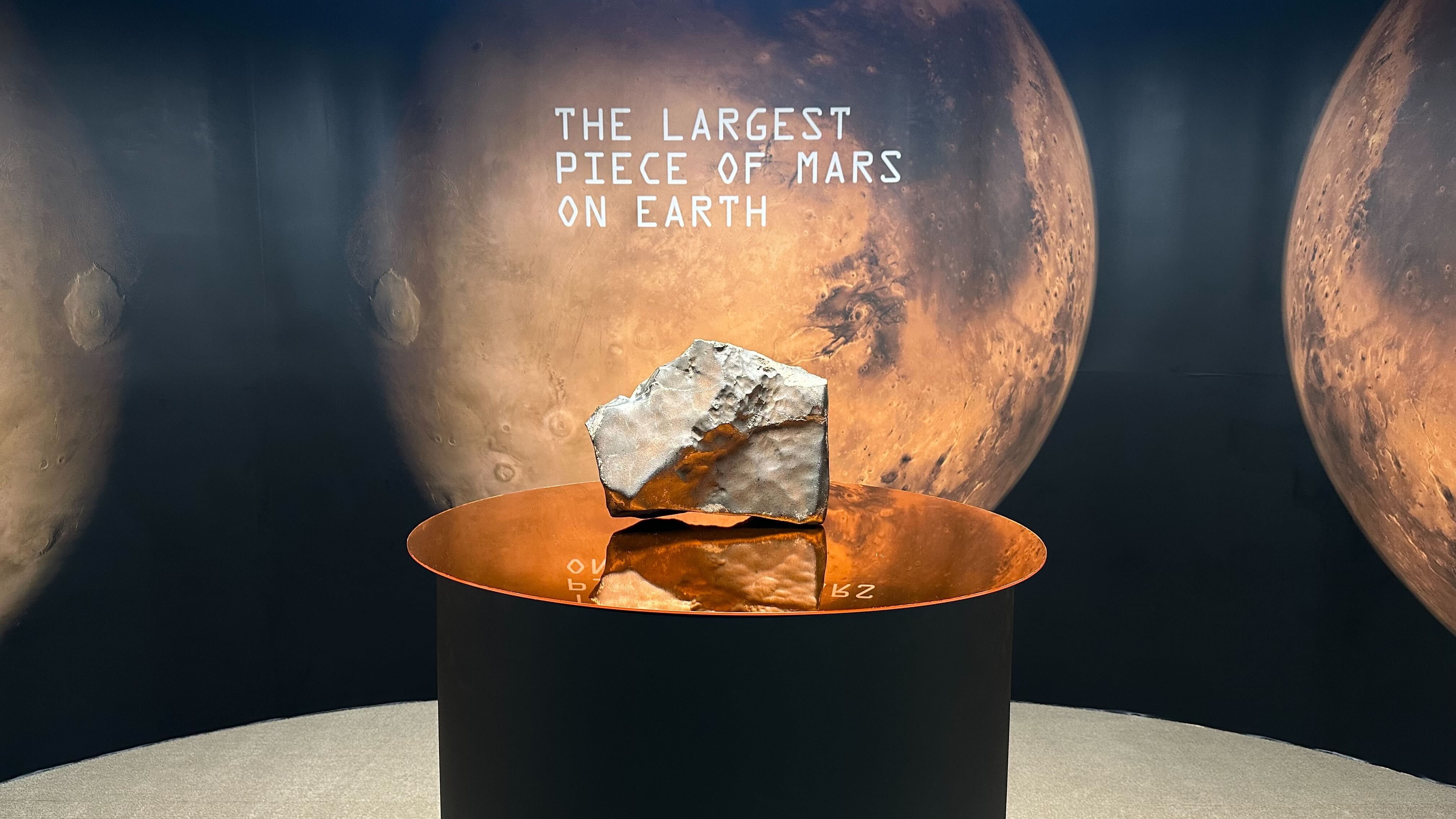 The largest Mars meteorite on Earth has sold for $5.3
