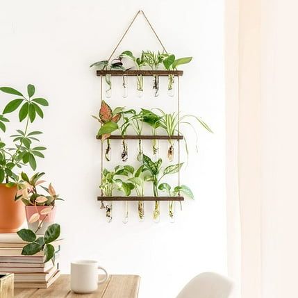 Gowinsee Plant Propagation Tubes With Wooden Stand and 15 Test Tubes (3 Count)