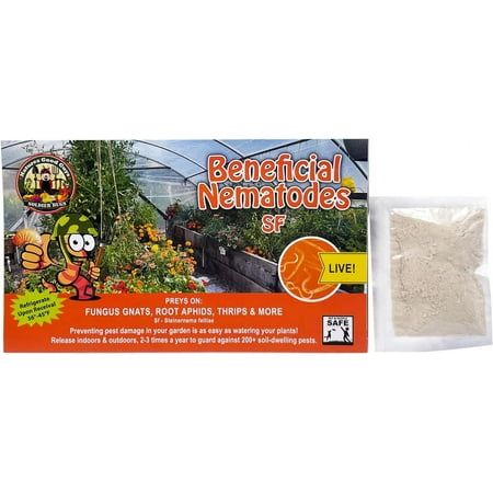 Natures - Beneficial Nematodes Steinernema Feltiae - Sf (5 Million)
