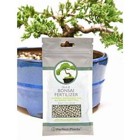 Bonsai Food Pellets by Perfect Plants - 5 Year Supply - All Natural Slow Release - Extended Enrichment for All Live Bonsai Tree Types