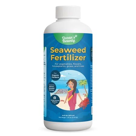 Ocean's Bounty Organic Seaweed Fertilizer 16 Fl Oz, Concentrated Liquid Kelp Extract for Indoor &amp;amp; Outdoor Plants