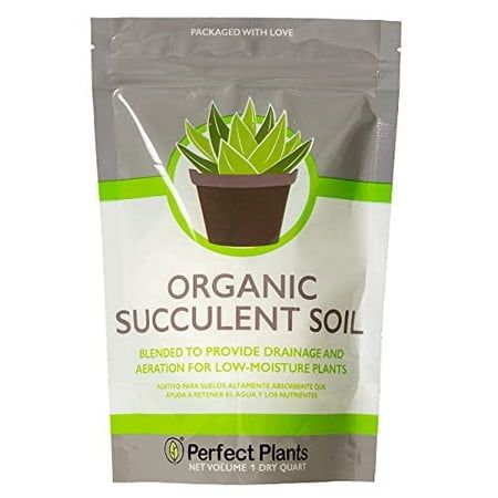 Perfect Plants Succulent &amp;amp; Cactus Soil Mix - 1 Quart